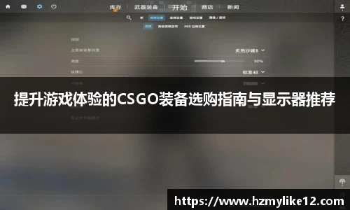 提升游戏体验的CSGO装备选购指南与显示器推荐